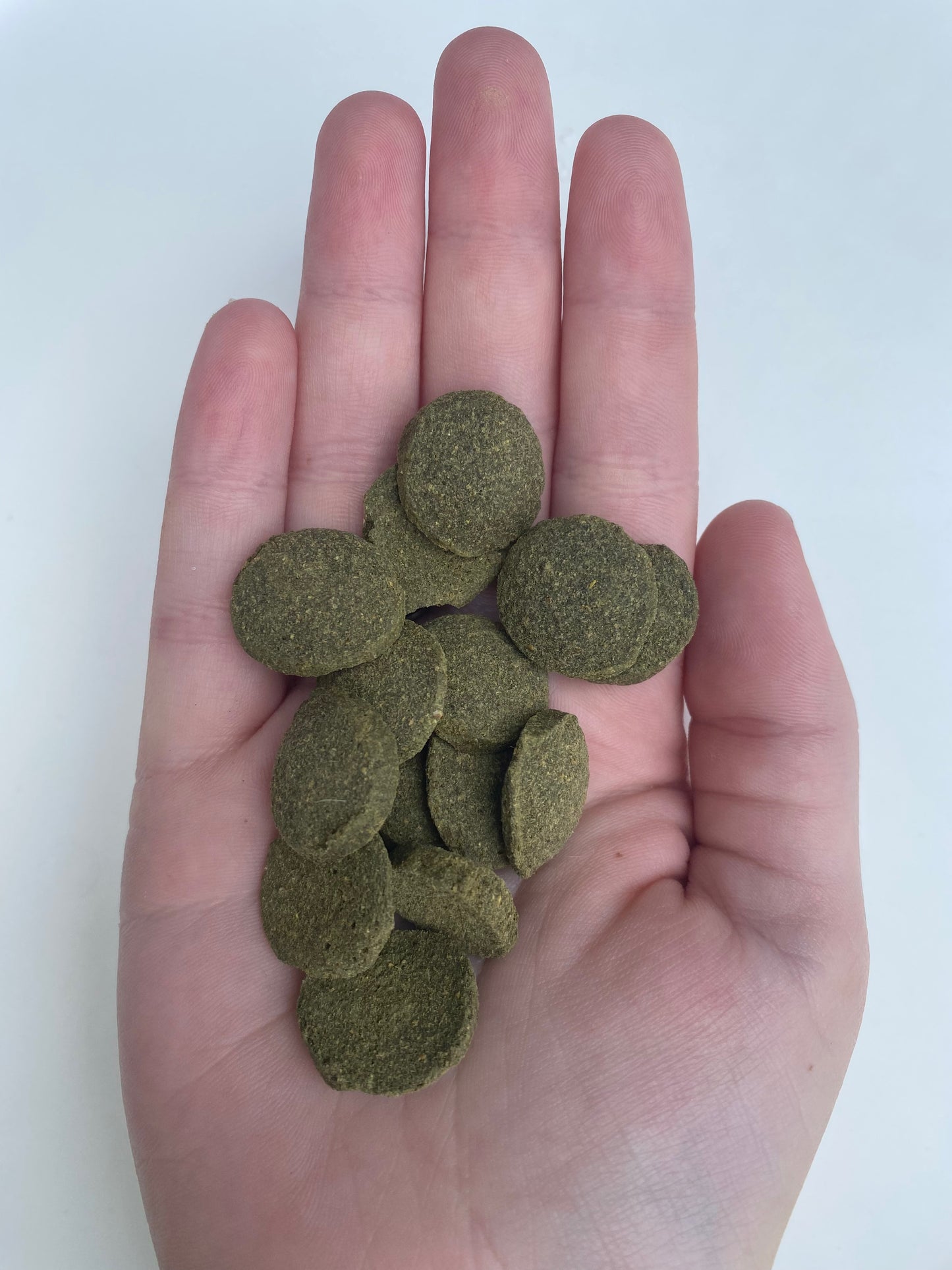 Algae Tablets