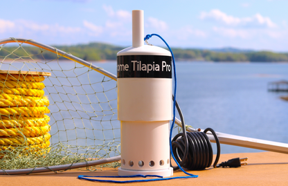 Home Tilapia Pro